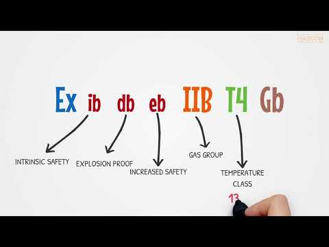 Example of  Ex Marking