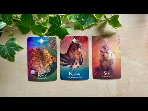 POSLEDNÍ VZKAZ VESMÍRU PRO VÁS NA ROK 2025 💎