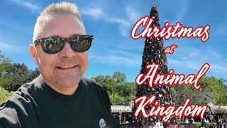 Christmas Has Arrived at Disney Animal Kingdom And It's Bring Back My Disney Memories of Old!
