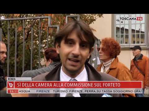 2019-02-28 TG REGIONALE ORE 19.00