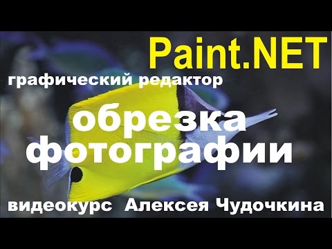 Как обрезать фото в Paint.NET