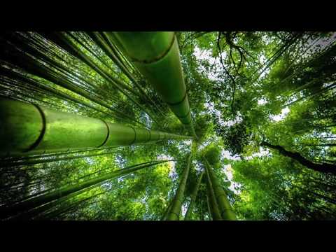 Tranh lõa thể - Tuyết Mai