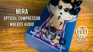 Video thumbnail for Walrus Audio: MIRA OPTICAL COMPRESSOR by Brett Kingman