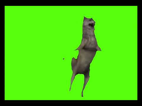 komm tanzen ich will nicht