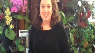 Battle of the Flower Designers: Defying Gravity Finale