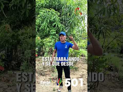 #Arauca elegirá bien #Asojuveara 🖐️5️⃣0️⃣1️⃣