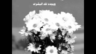 مقاطع دعوية
