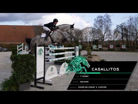 Casallitos (Coupe de Coeur x Lupicor)