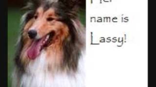 dayglo abortions- my girl