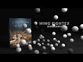 Video 3: Wing Fighter by Michael Barry