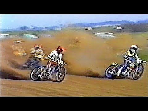 1991 FINKLEY GRASSTRACK