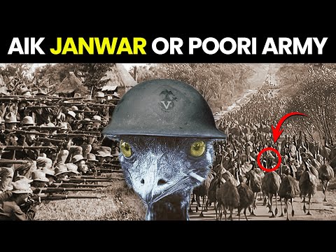 How Australia Lost War Against Birds | The Great EMU War