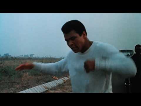 Champion Boxers Shadowboxing For 1 Hour Straight