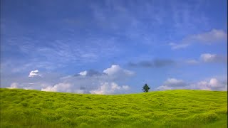 Tony Trischka - Blue Light