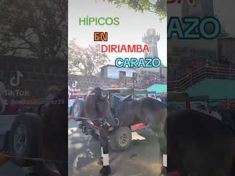 Diriamba, Carazo. #osdaniaramirez #parati #viralvideo #diriamba #hipicosdiriamba