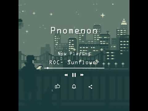 Rex Orange County - Sunflower (lofi remix)