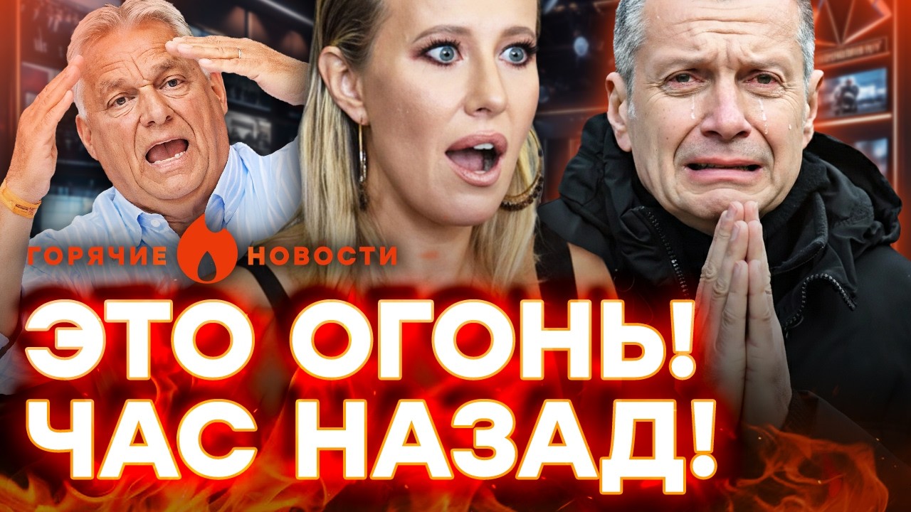 🛑 СРОЧНОЕ ОБРАЩЕНИЕ Соловеьева! СОБЧАК ПОБИЛИ “паляницей” | ГОРЯЧИЕ НОВОС?