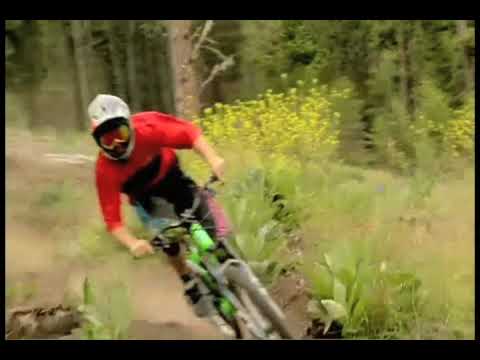 NWD 10 Dust and Bones Trailer