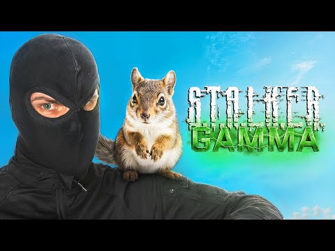 Losing My Sanity in Stalker GAMMA