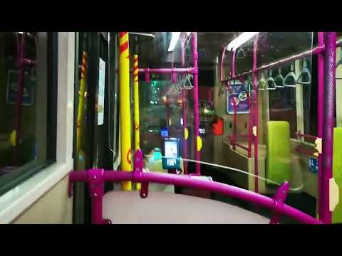 [SBS Transit] Unique Melodious ZF Ecomat! - SBS8105E