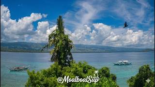 🔴 Moalboal Live Cam | Моалбоал Филиппины Онлайн 4K • @MoalboalSup
