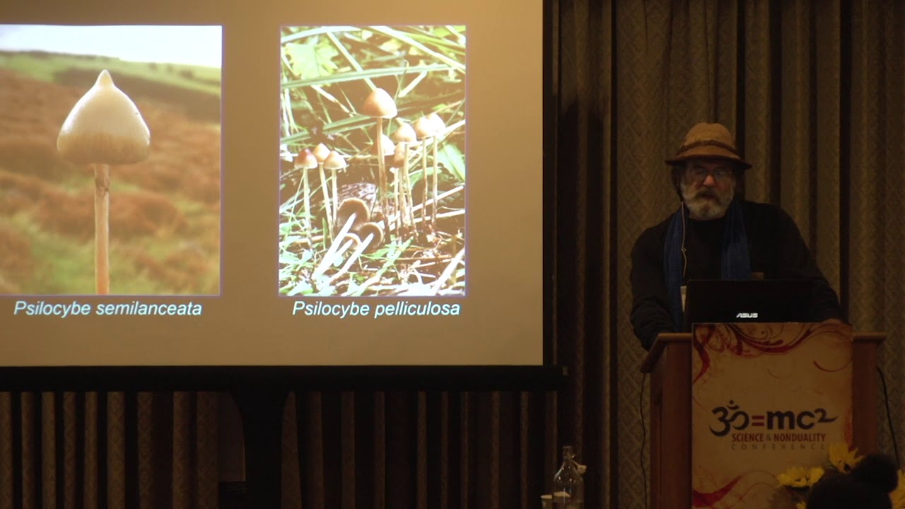 The Treasure Called the Psilocybes: Paul Stamets
