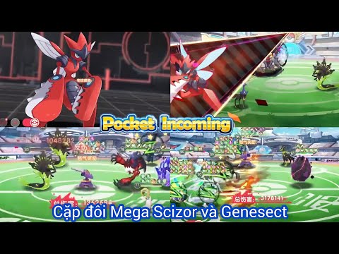 Arena : Những trận cặp đôi Mega Scizor + Genesect VS Zygarde - Pocket Incoming