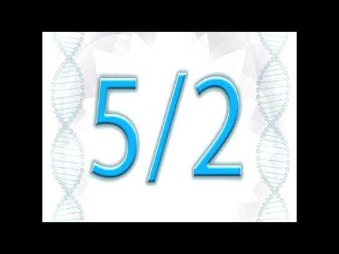 Human Design Academy by Ra Uru Hu: Profile 5/2