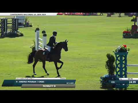 NOBILITY B - ANDRES POSADA
