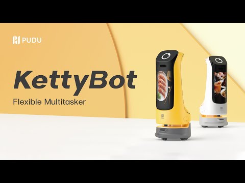 KettyBot Video 2665