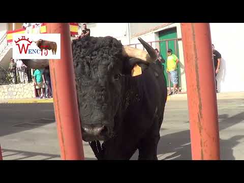 ENCIERRO DE BOROX 2023