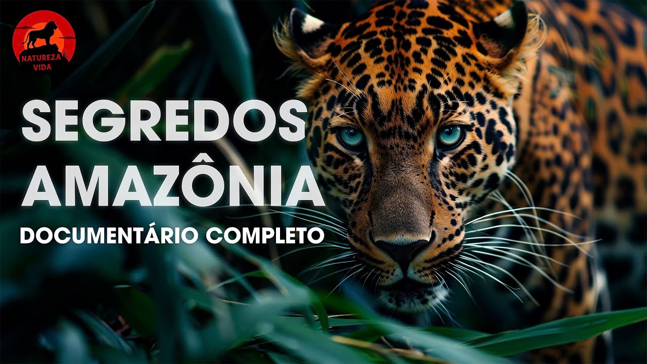 🔴SEGREDOS DA AMAZÔNIA | Uma Aventura pela Selva Imponente | Documentários  animais