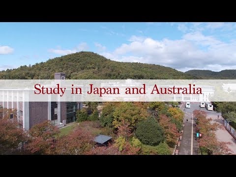 College of Global Liberal Arts #7