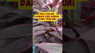 Download lagu Prayer for Protecting Your Home and Garden from Thieves mp3