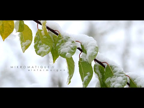 WINTERMORGEN • snow & winter ambience // contemporary music