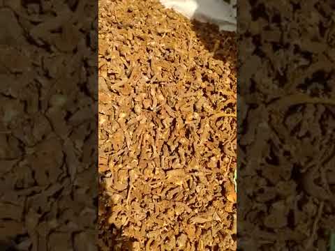 Dry anantmool root