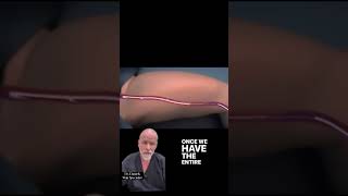 NJ Vein Specialists