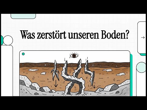 Soil salinization | Simply explained