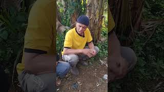 Download lagu dasarrr nya🤣🤣🤣 mp3