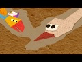 Tucky And Ostrich