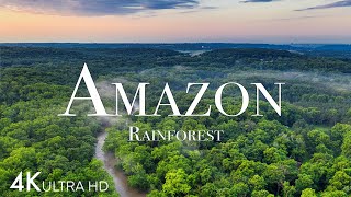 Amazon in 4K - The World’s Largest Tropical Rain