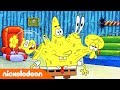 SpongeBob SquarePants | SpongeBob de imitator | Nickelodeon Nederlands