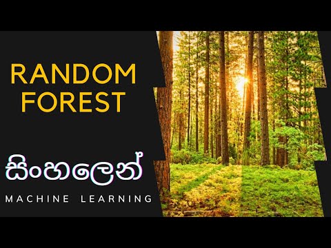 Random Forest Algorithm | Sinhala