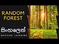 Random Forest Algorithm | Sinhala