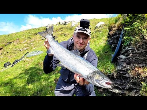 Lachs 💥Feuerwerk💥 am Eröffnungstag | Saison 2022 | FC Spinner.dk