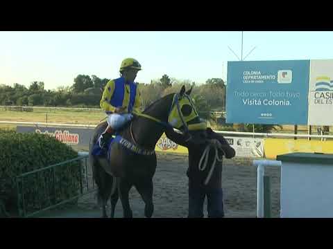 SINT COLONIA - 220707 c09 1° MALDITO