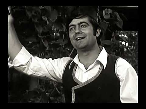 Станиша Стошић - Милкано, дадо мори