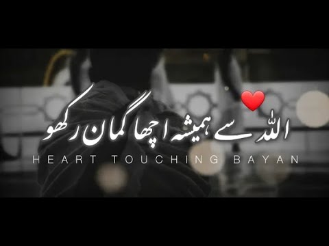 Allah se hamesha achha guman rakho || Saeed Anwar sahab || Islam ke Daai