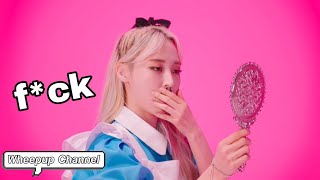 Just Mamamoo swearing