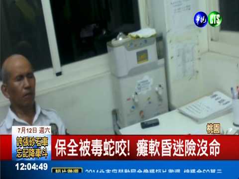 撿到雨傘節! 保全把玩被咬昏癱